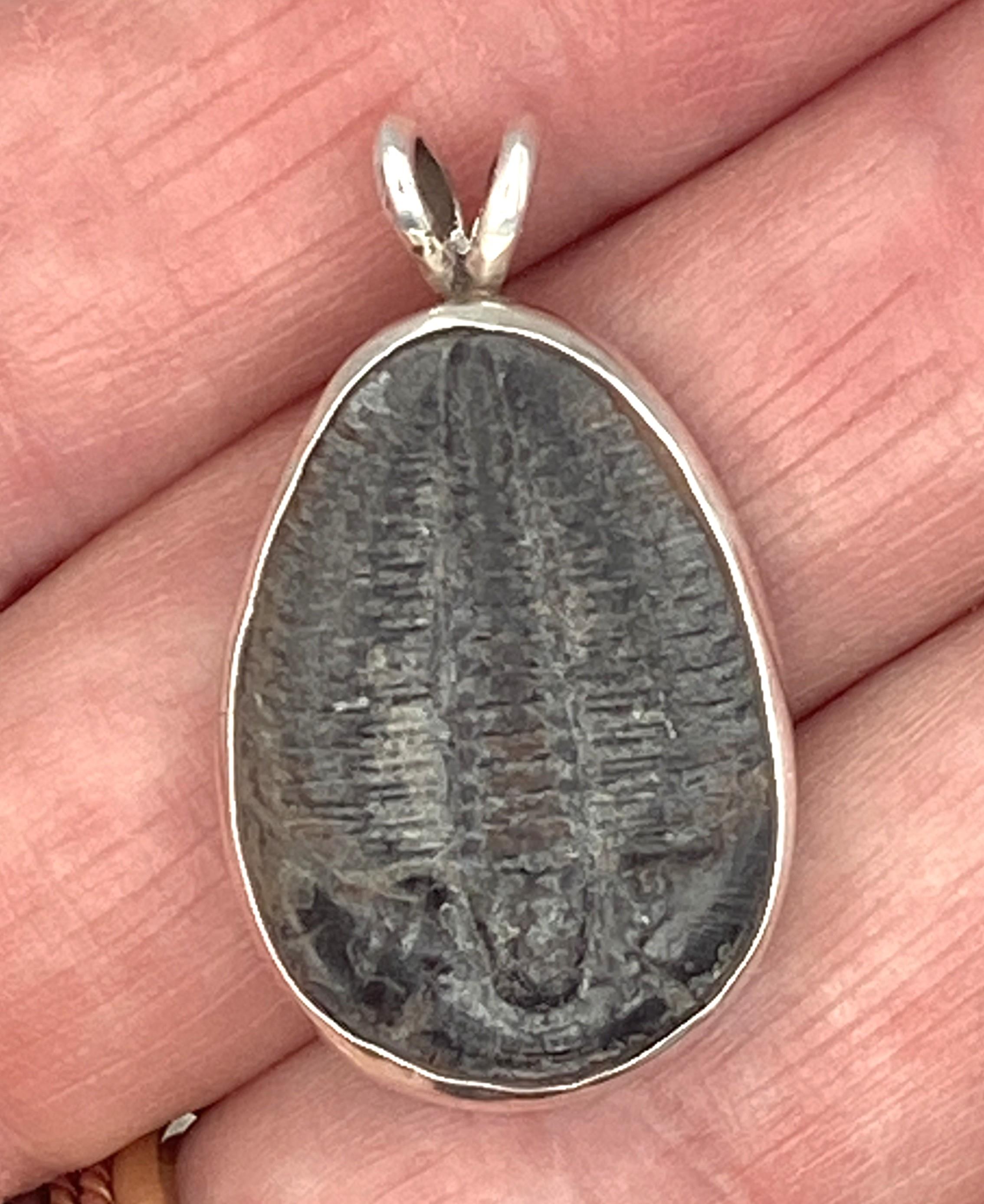 Image for Trilobite Fossil Sterling Silver Pendant