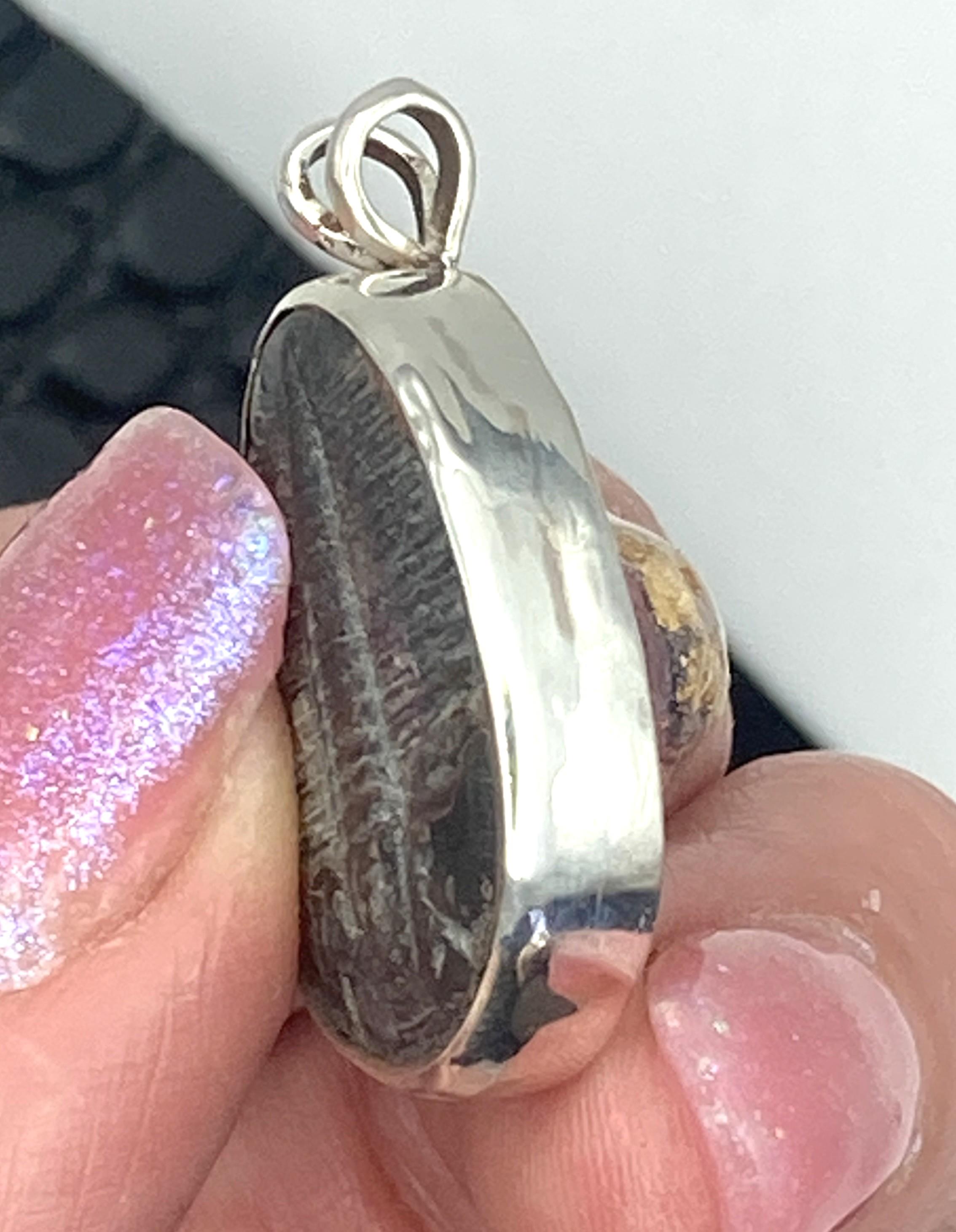 Image for Trilobite Fossil Sterling Silver Pendant