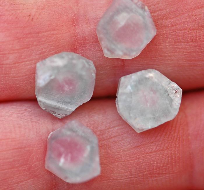 Image for Natural Cruzeiro Tri Color Tourmaline slices 13.8 tcw