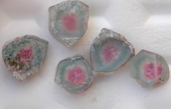 Image for Natural Cruzeiro Mine Tri Color Tourmaline Slices 34.8 tcw  ** VIDEO **