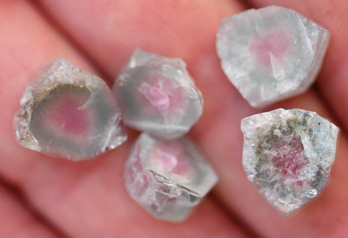 Image for Natural Cruzeiro Mine Tri Color Tourmaline Slices 34.8 tcw  ** VIDEO **