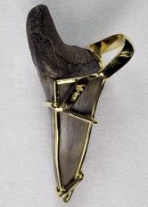 Image for NORTH CAROLINA 22 MILLION YEAR OLD PREHISTORIC SHARK TOOTH 18 K. Gold PENDANT