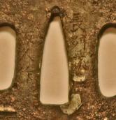 Image for Signed Antique Japanese Tsuba