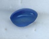 Image for Natural Sri Lanka Unheated Certified Blue Star Sapphire 9.30 carat