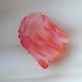 Image for Natural Coral Carving 13.99 carat  ** VIDEO **