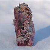 Image for Natural Cruzeiro Mine Brazil Tourmaline Crystal 202 carat