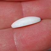 Image for Australia Natural Coober Pedy While Base Opal 3.63 carat  ** VIDEO **