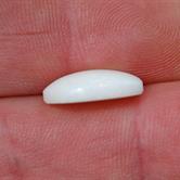 Image for Australia Natural Coober Pedy Opal 5.31 carat  ** VIDEO **