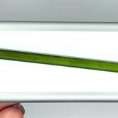 Image for Natural Tourmaline Crystal 18.21 ct.
