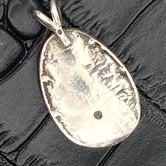 Image for Trilobite Fossil Sterling Silver Pendant