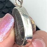 Image for Trilobite Fossil Sterling Silver Pendant