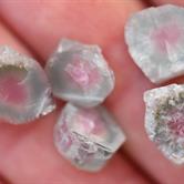 Image for Natural Cruzeiro Mine Tri Color Tourmaline Slices 34.8 tcw  ** VIDEO **