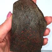 Image for Dinosaur Bone Gem Rough Multicolor Fossilized Cell Structure 311 grams