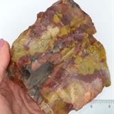Image for Petrified Wood Specimen - LARGE 1185 grams