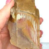 Image for Owyhee Jasper Rough Specimen 520 grams